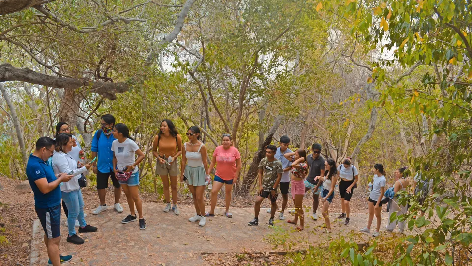 Grupo caminando por el sendero entre árboles de Isla La Roqueta