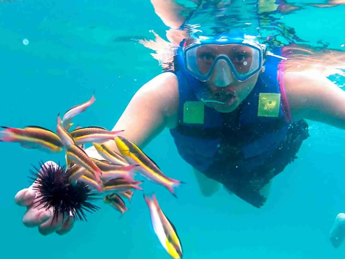 Snorkel Acapulco